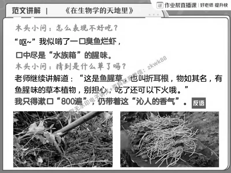 《10.课堂笔记主讲课中笔记_2025初二网课_25初二语文_25初二宋北平语文（作业帮）_春季上-寒假班A+_课堂笔记》第10页预览