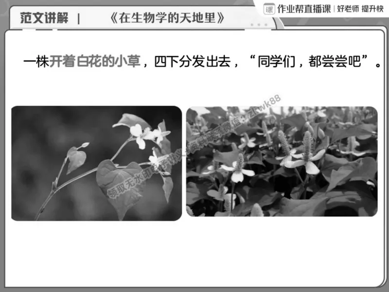 《10.课堂笔记主讲课中笔记_2025初二网课_25初二语文_25初二宋北平语文（作业帮）_春季上-寒假班A+_课堂笔记》第8页预览
