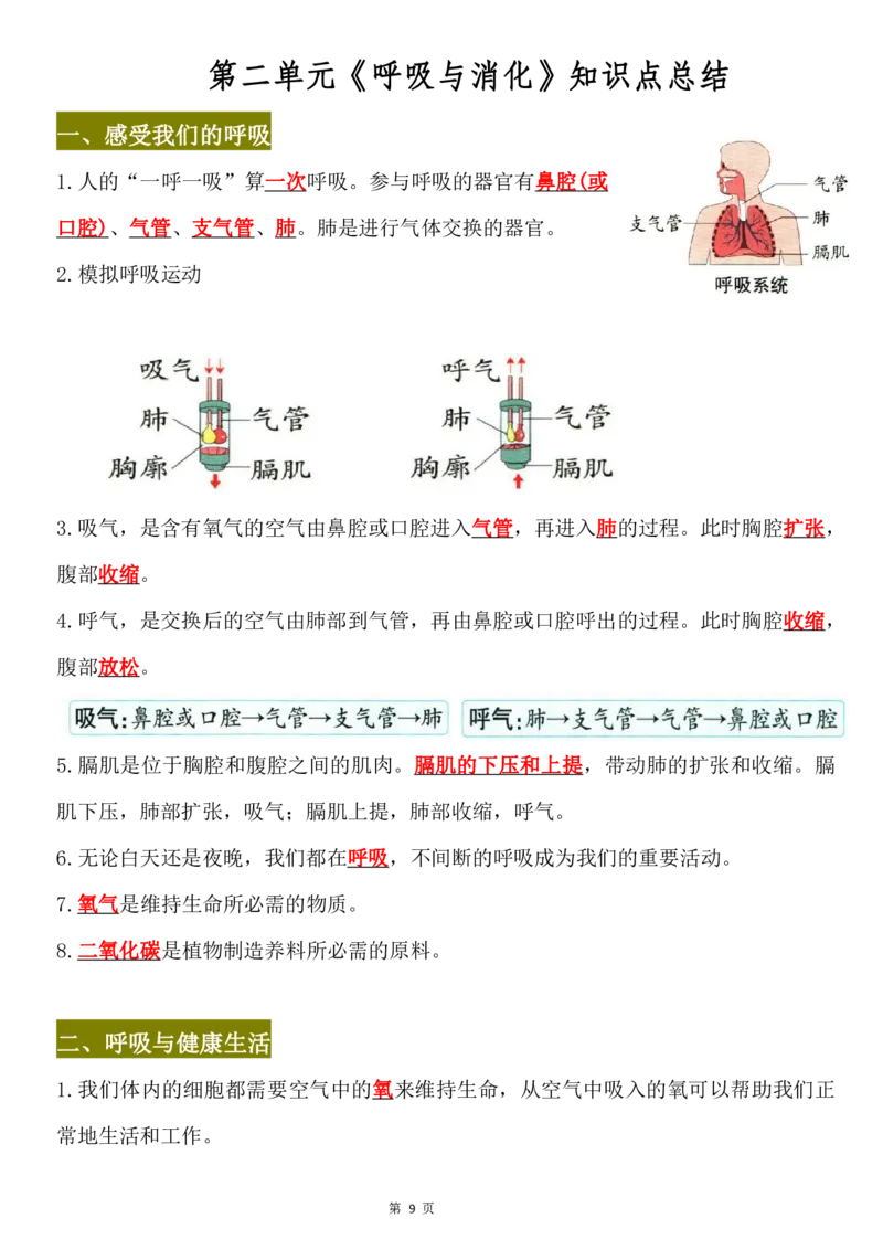 《四年级（上）科学全册知识手册《教科版》_赠送2026小学1-6年级资料合集(按需自取)_四年级_四年级（上）科学全册知识手册《教科版》》第9页预览
