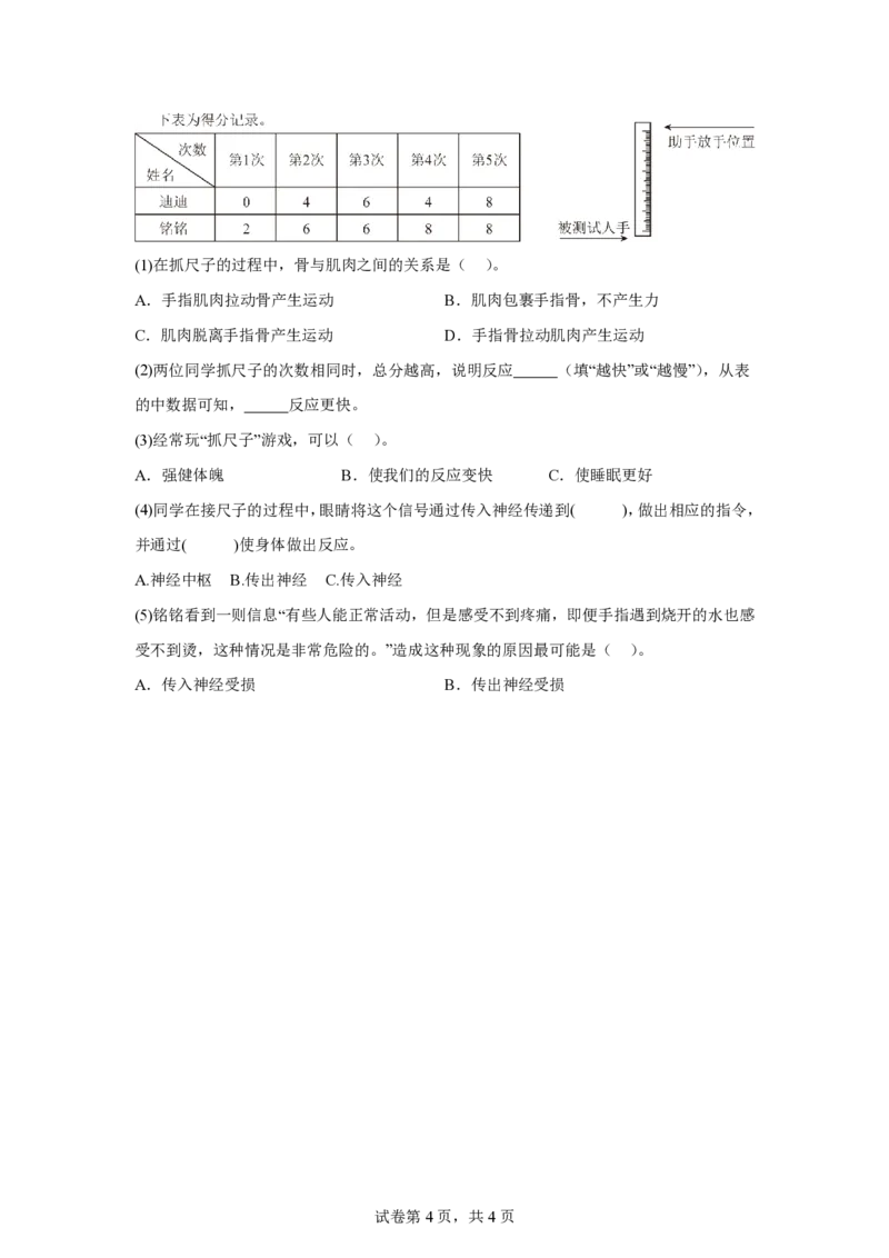 《五年级（上）科学第二单元健康与生活（单元测试）《冀人版》_赠送2026小学1-6年级资料合集(按需自取)_五年级_五年级（上）科学第二单元健康与生活（单元测试）《冀人版》》第4页预览