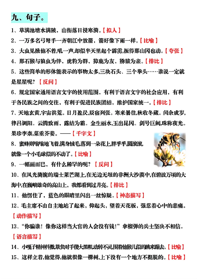 《五年级（下）语文全册知识点汇总_赠送2026小学1-6年级资料合集(按需自取)_五年级》第5页预览