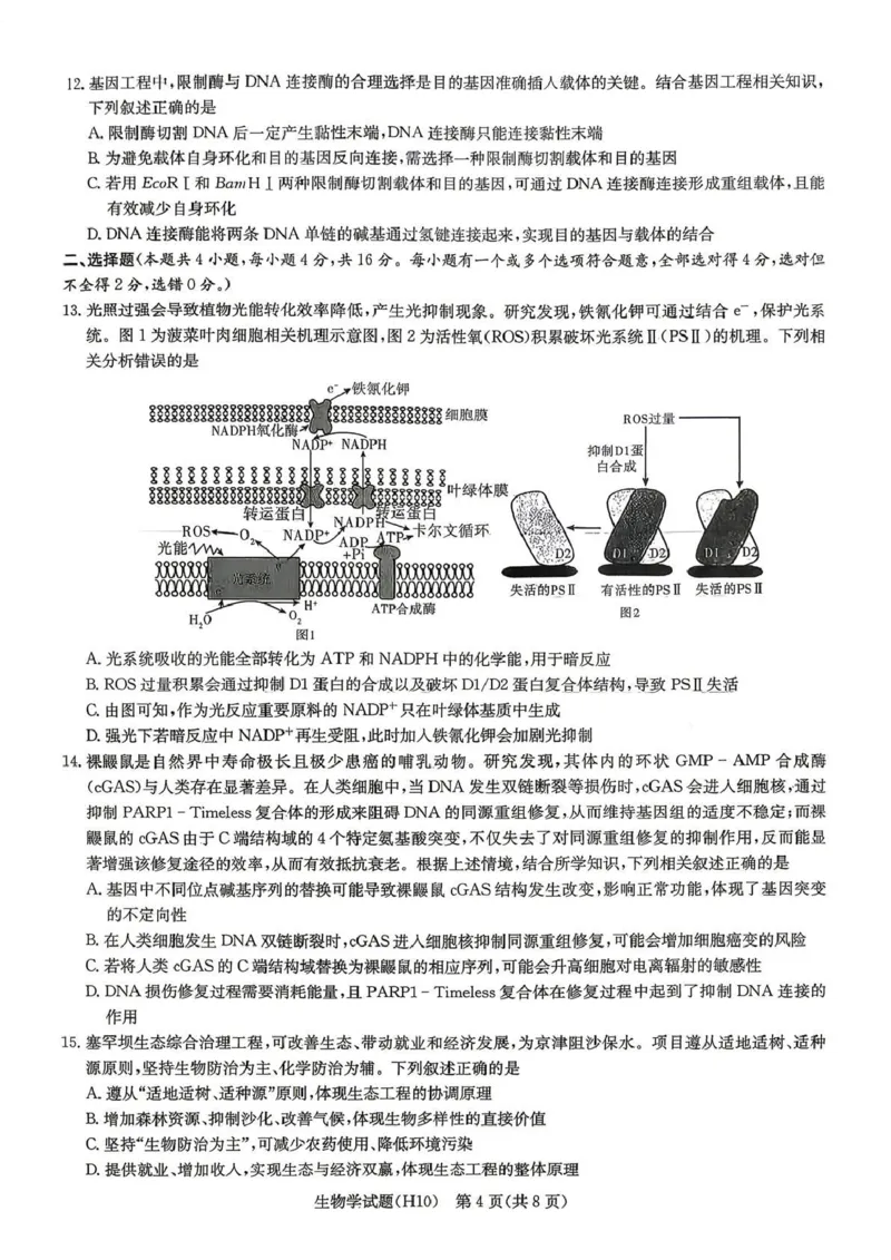 《雅礼中学2026届高三月考试卷（十）生物_2024-2027高三（6-6月题库）_2026年05月高三试卷_260524湖南市雅礼中学2026届高三下学期高考模拟（二）（月考十）（全科）》第4页预览