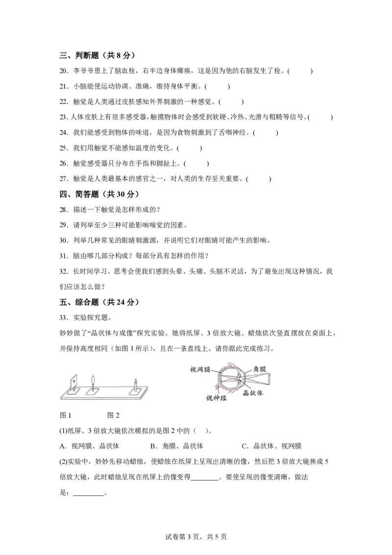 《五年级（上）科学第二单元人体司令部（单元测试）《大象版》_赠送2026小学1-6年级资料合集(按需自取)_五年级_五年级（上）科学第二单元人体司令部（单元测试）《大象版》》第3页预览