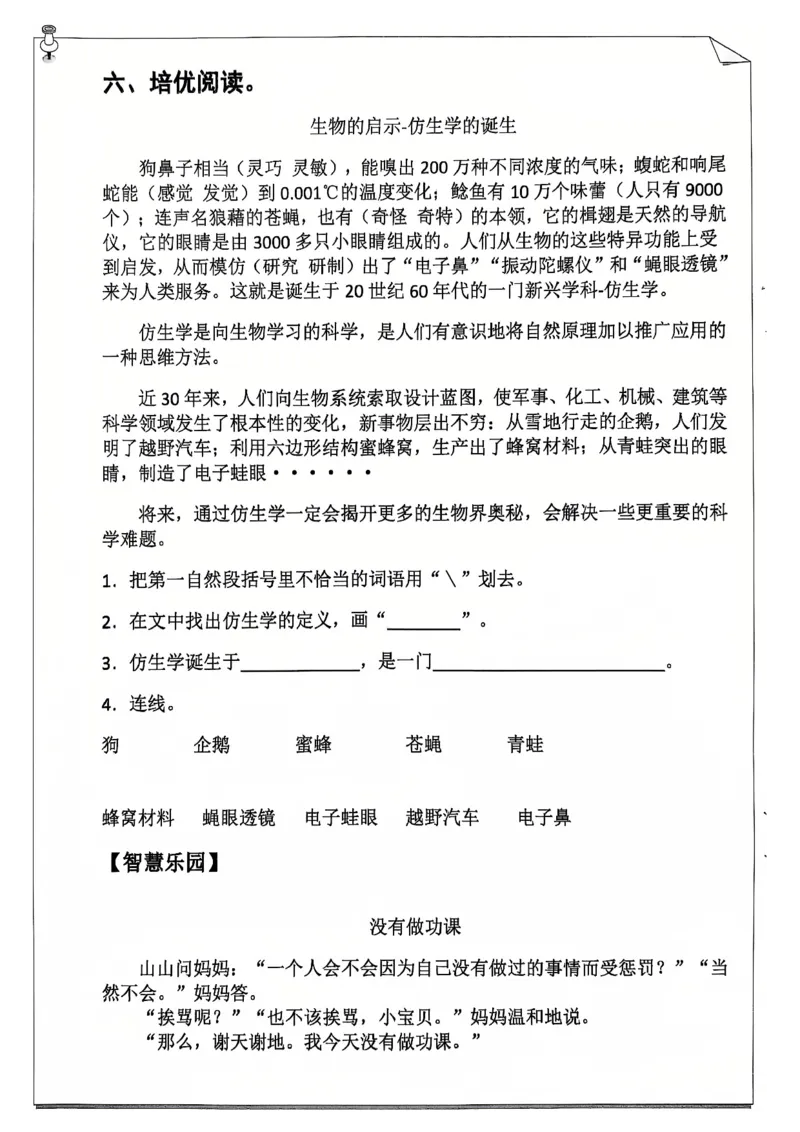 《四年级（上）语文25学年寒假作业_赠送2026小学1-6年级资料合集(按需自取)_四年级_四年级（上）语文25学年寒假作业》第8页预览