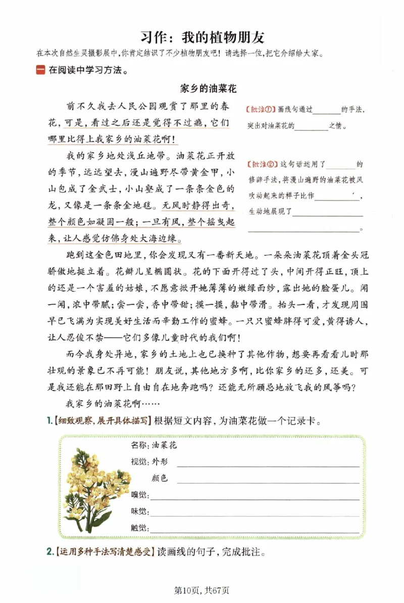 《三年级（下）语文一课一练1-4单元_赠送2026小学1-6年级资料合集(按需自取)_三年级》第10页预览