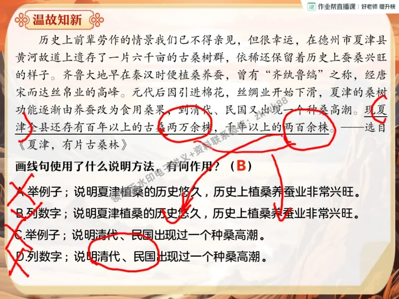 《11.课堂笔记主讲课中笔记_2025初二网课_25初二语文_25初二宋北平语文（作业帮）_暑期班A+班_课堂笔记》第4页预览