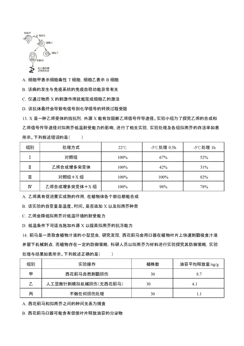 《青桐鸣大联考2026年高三4月内部练生物_12.2026年4月全国各地高考模拟卷_2026年4月_2026届青桐鸣大联考高三4月内部练全科_06生物_青桐鸣大联考高三4月内部练》第4页预览
