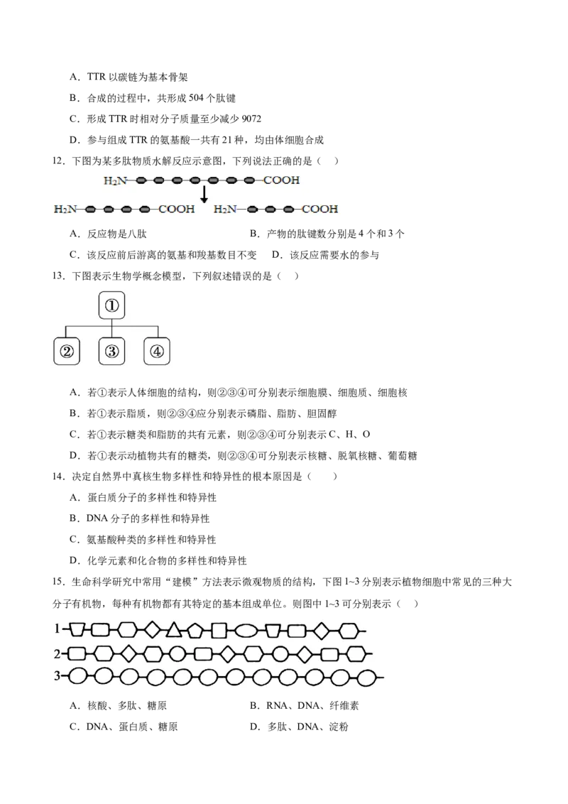 《福建省龙岩市一级校盟2025-2026学年高一上学期期中联考试题生物Word版含答案_2026年高一《月考+期中考+阶段性检测真题合集》全国各省全科无水印》第3页预览