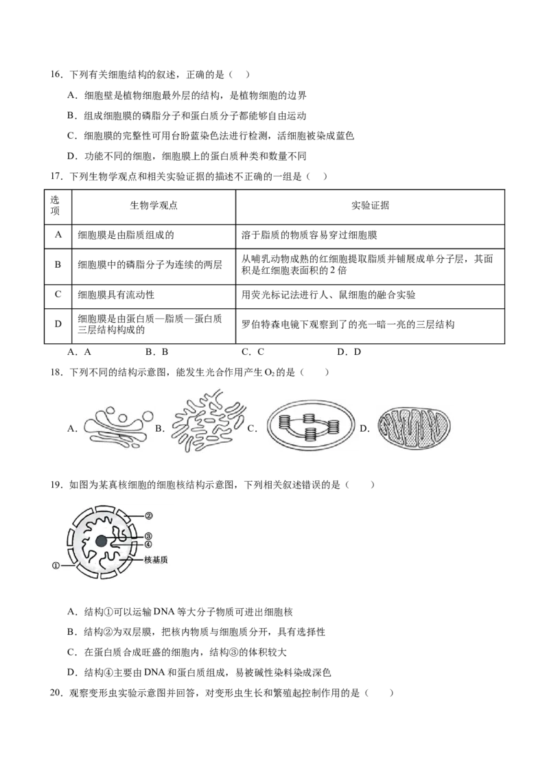 《福建省龙岩市一级校盟2025-2026学年高一上学期期中联考试题生物Word版含答案_2026年高一《月考+期中考+阶段性检测真题合集》全国各省全科无水印》第4页预览