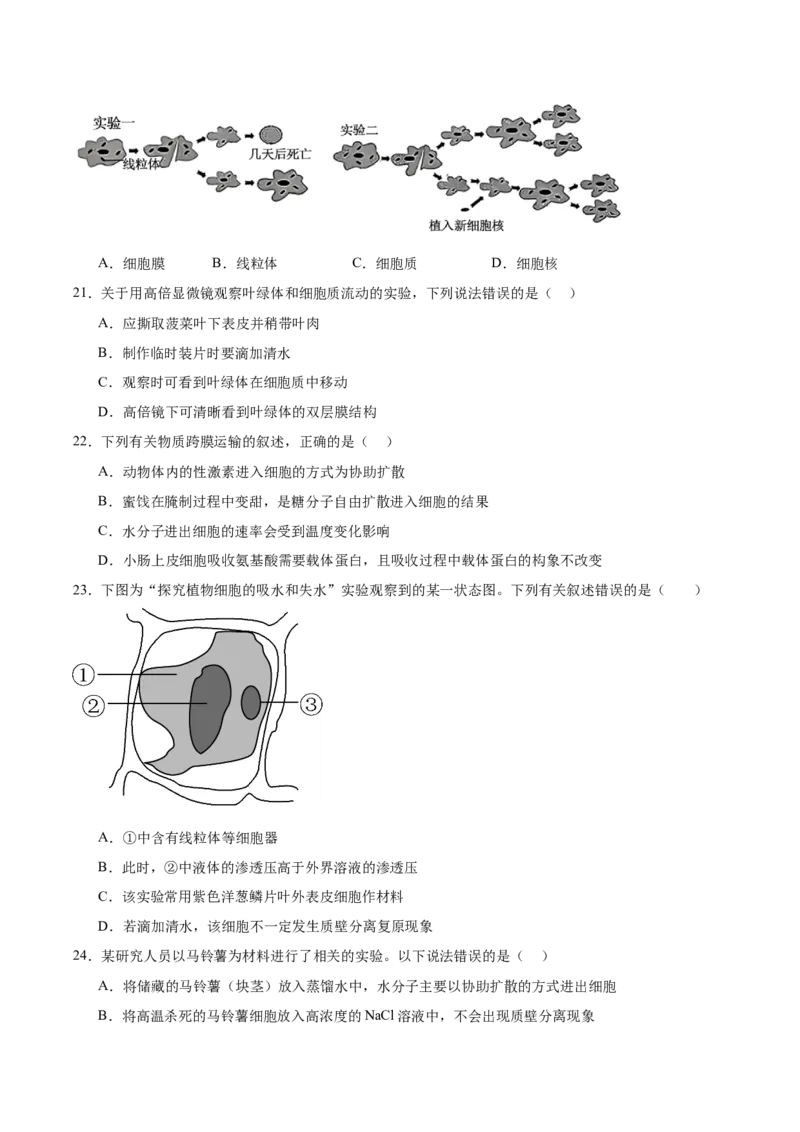 《福建省龙岩市一级校盟2025-2026学年高一上学期期中联考试题生物Word版含答案_2026年高一《月考+期中考+阶段性检测真题合集》全国各省全科无水印》第5页预览