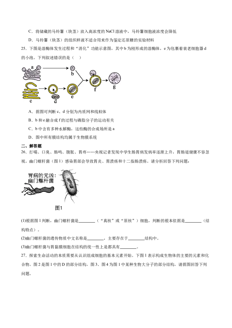 《福建省龙岩市一级校盟2025-2026学年高一上学期期中联考试题生物Word版含答案_2026年高一《月考+期中考+阶段性检测真题合集》全国各省全科无水印》第6页预览