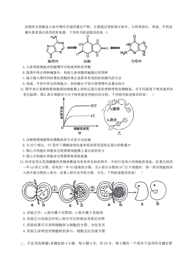 《湖南省益阳市安化县第一中学2025-2026学年高一上学期12月月考生物试题（含解析）_2026年高一《月考+期中考+阶段性检测真题合集》全国各省全科无水印》第3页预览
