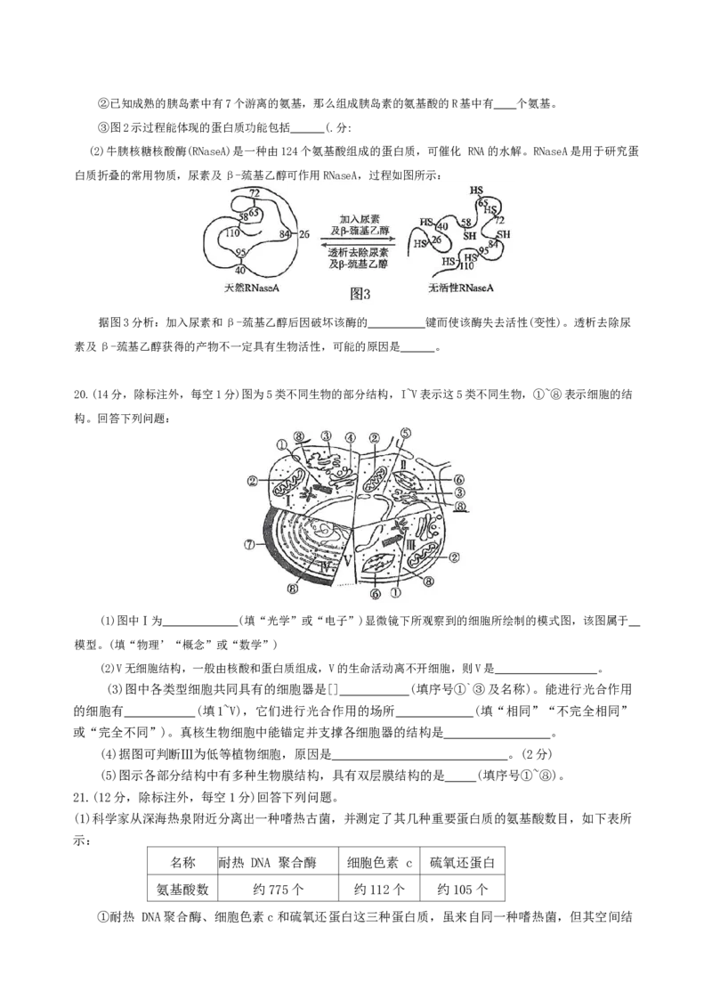 《湖南省益阳市安化县第一中学2025-2026学年高一上学期12月月考生物试题（含解析）_2026年高一《月考+期中考+阶段性检测真题合集》全国各省全科无水印》第6页预览