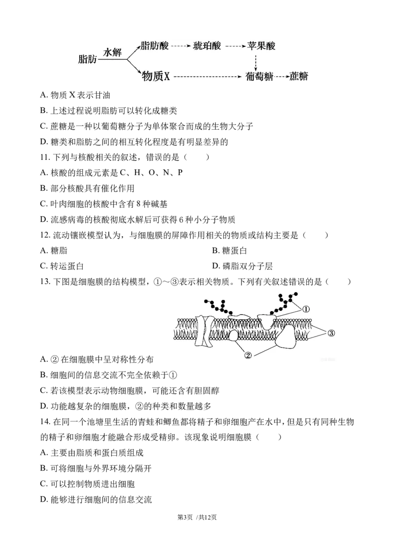 《玉溪一中2028届高一上学期第二次月考生物试题_2026年高一《月考+期中考+阶段性检测真题合集》全国各省全科无水印_云南省玉溪第一中学2026学年高一上学期12月第二次月考（全）》第3页预览