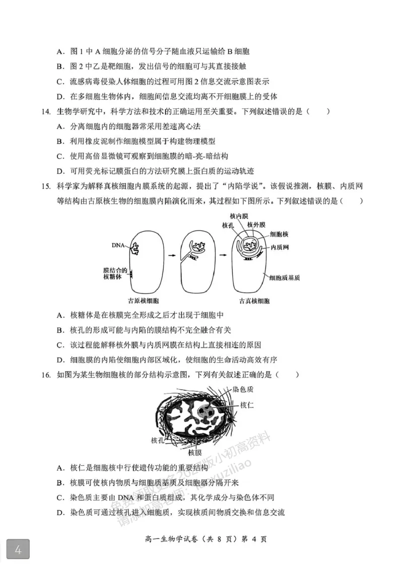 《湖北省黄石市2025-2026学年高一上学期期中考试生物PDF版含解析_2026年高一《月考+期中考+阶段性检测真题合集》全国各省全科无水印_湖北省黄石市2026学年高一上学期期中考试(全)》第4页预览