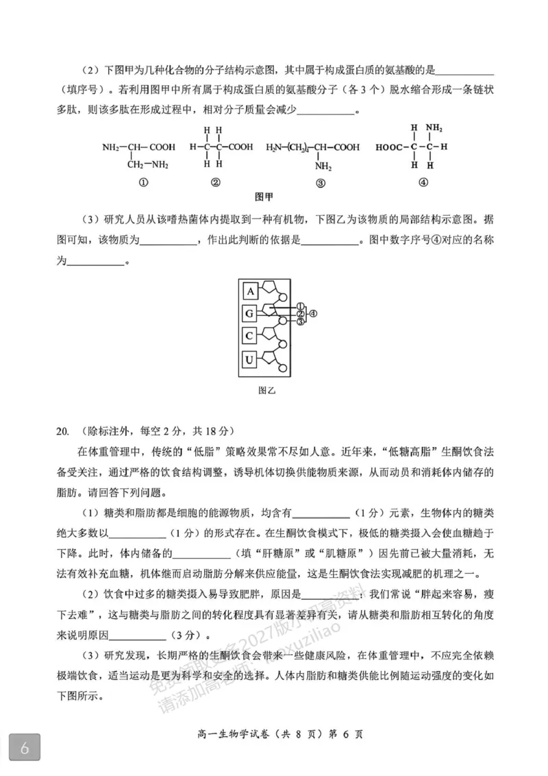 《湖北省黄石市2025-2026学年高一上学期期中考试生物PDF版含解析_2026年高一《月考+期中考+阶段性检测真题合集》全国各省全科无水印_湖北省黄石市2026学年高一上学期期中考试(全)》第6页预览