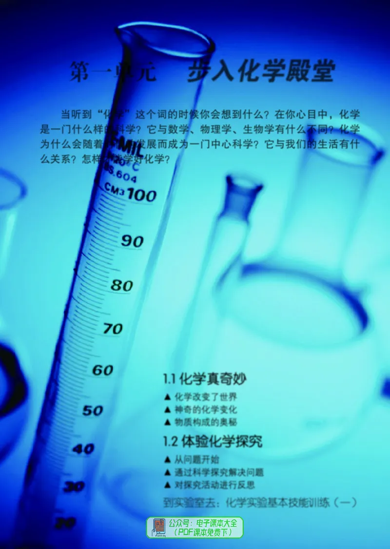 《（六三）化学九年级上册_初中化学_鲁教版_鲁教版六三制》第8页预览