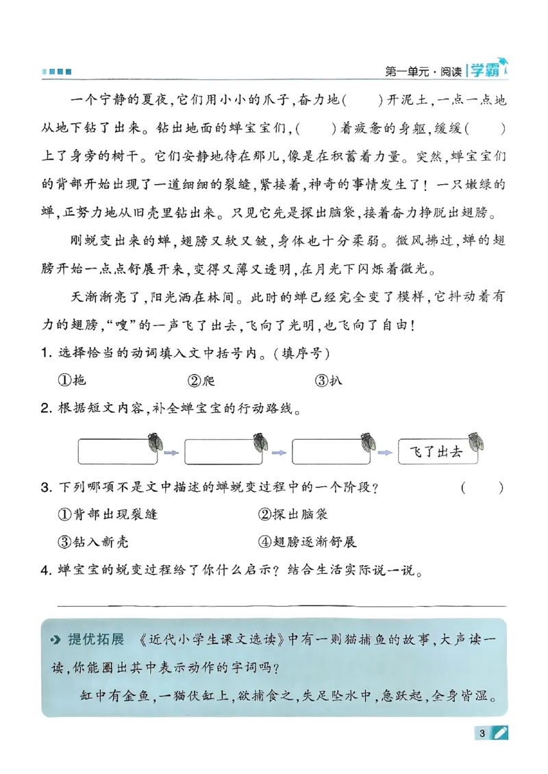 《25秋《5星学霸》语文2上_光塔笔记小学教辅_25秋2-6年级语文上册《五星学霸》_25秋5星学霸语文课时练2上》第9页预览
