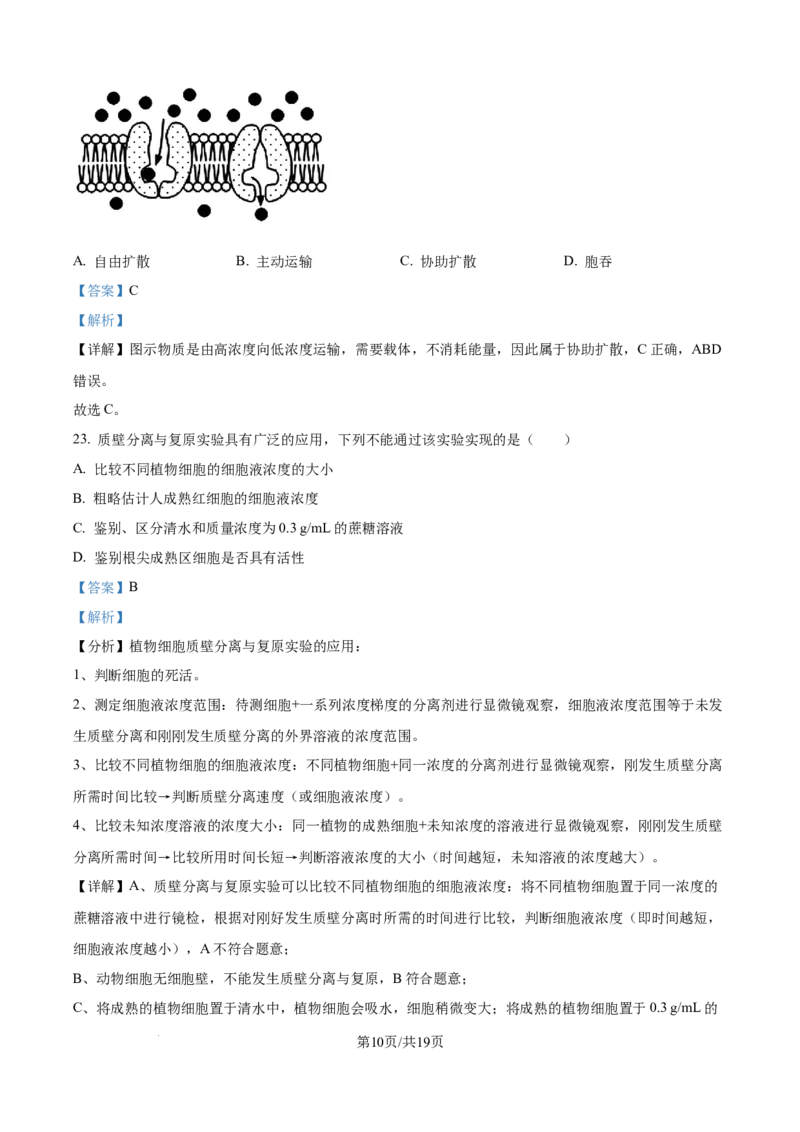 《精品解析：河北省衡水市冀州区河北冀州中学2025-2026学年高一上学期12月月考生物试题（解析版）_2026年高一《月考+期中考+阶段性检测真题合集》全国各省全科无水印》第10页预览