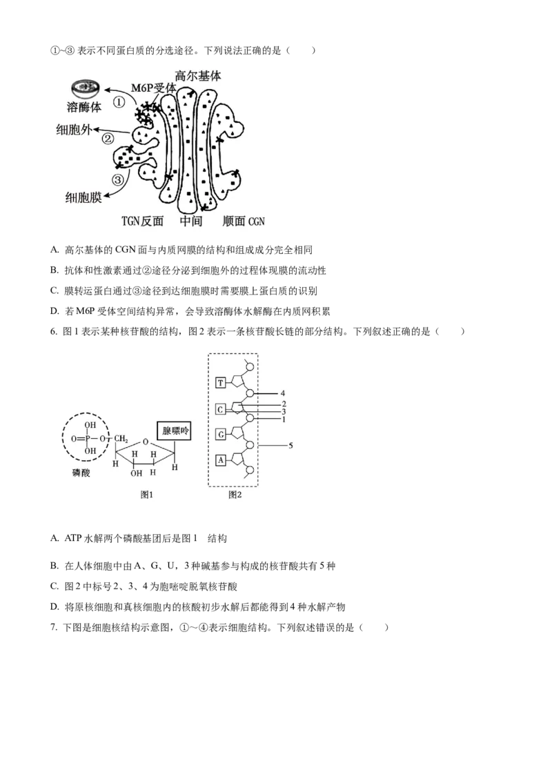 《湖南省长沙市麓山共同体学校2025-2026学年高一上学期12月学情检测生物试卷（原卷版）_2026年高一《月考+期中考+阶段性检测真题合集》全国各省全科无水印》第2页预览