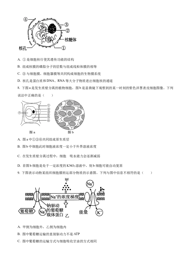 《湖南省长沙市麓山共同体学校2025-2026学年高一上学期12月学情检测生物试卷（原卷版）_2026年高一《月考+期中考+阶段性检测真题合集》全国各省全科无水印》第3页预览