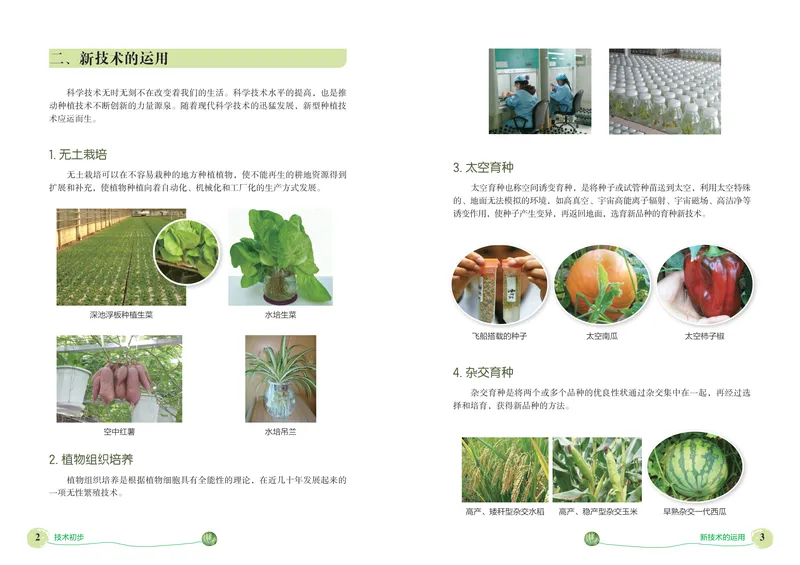 《劳动技术初中种植_初中劳动技术_北京版》第5页预览