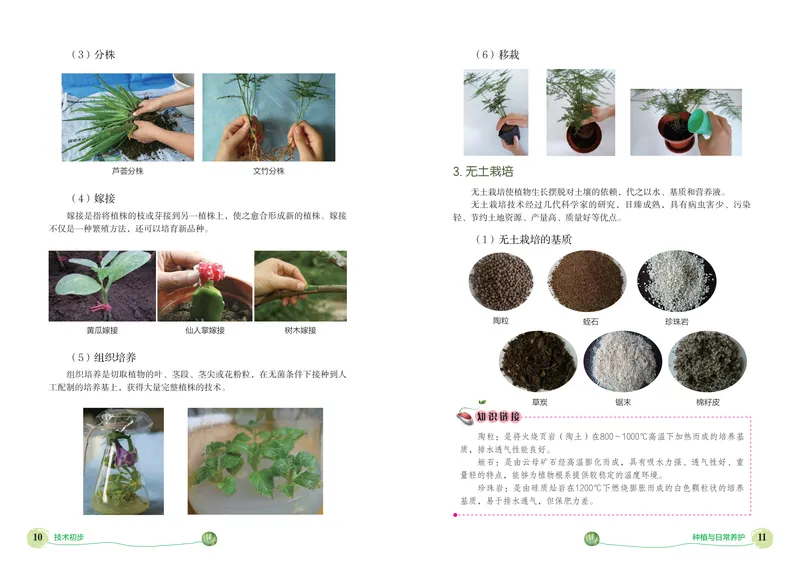 《劳动技术初中种植_初中劳动技术_北京版》第9页预览