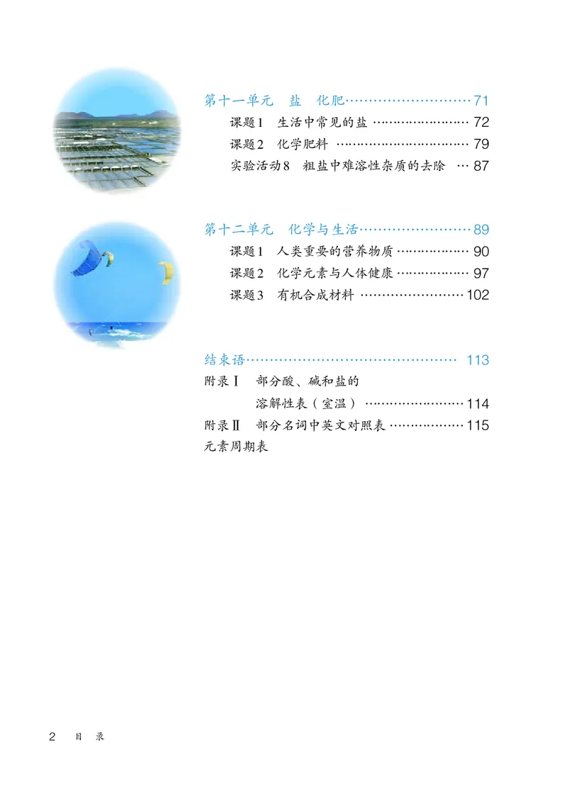 《化学九下人教版（2024春）_初中化学_人教版_初中化学9年级下册》第5页预览