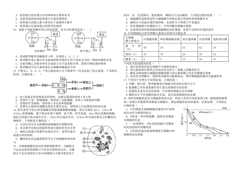 《福建省福九联盟2025-2026学年高一上学期期中联考生物试卷_2026年高一《月考+期中考+阶段性检测真题合集》全国各省全科无水印_福建省福九联盟2026学年高一上学期期中联考（全）》第2页预览