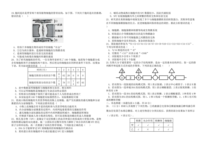 《福建省福九联盟2025-2026学年高一上学期期中联考生物试卷_2026年高一《月考+期中考+阶段性检测真题合集》全国各省全科无水印_福建省福九联盟2026学年高一上学期期中联考（全）》第3页预览