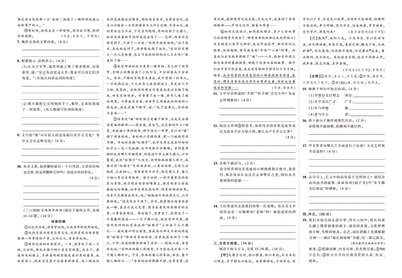 《七上综合测评卷_初中全科目同步习题+精品试卷（7-9年级）_25秋初中语文《同步习题+精品试卷》_初中语文试卷7-9年级上册(1)_《王朝霞试卷合集》_王朝霞综合测评卷》第8页预览