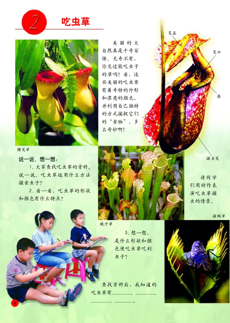 《人美版2年级美术下册高清教材_光塔笔记小学教辅_2025秋电子课本小学科目-新教材_全部版本•小学美术电子课本_人美版小学美术电子课本》第9页预览