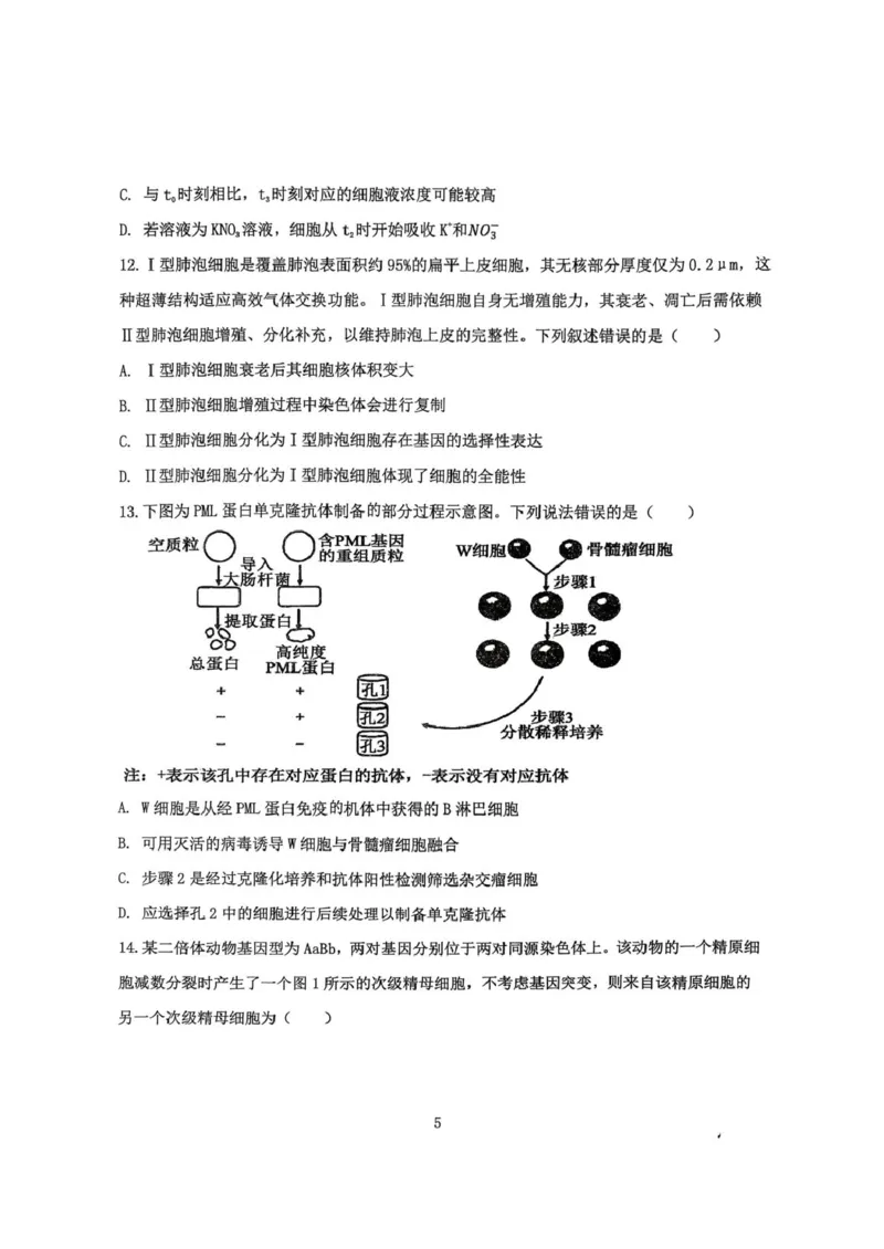 《福建省龙岩市三校2026届高三上学期12月联考生物试卷（含答案）_2026年高三《月考+期中考+阶段性检测真题合集》全国各省全科无水印》第5页预览