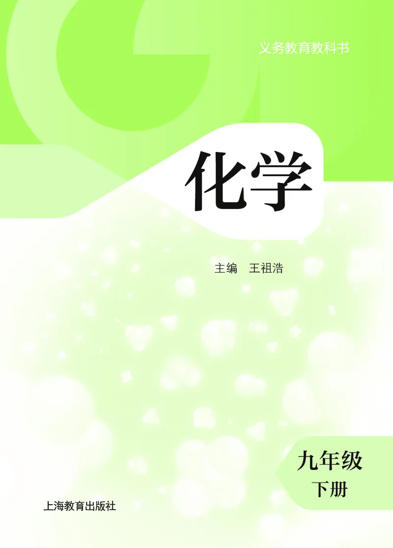 《化学九下沪教版（2025春）_初中化学_沪教版》第2页预览