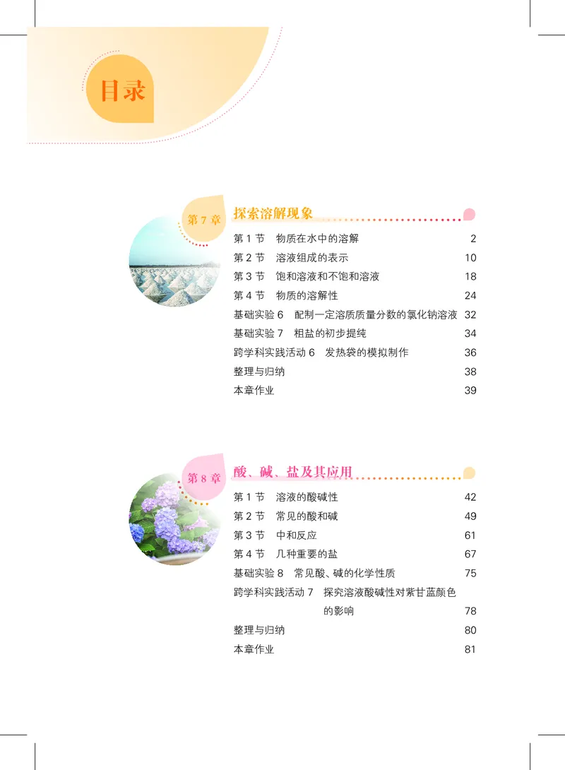 《化学九下沪教版（2025春）_初中化学_沪教版》第6页预览