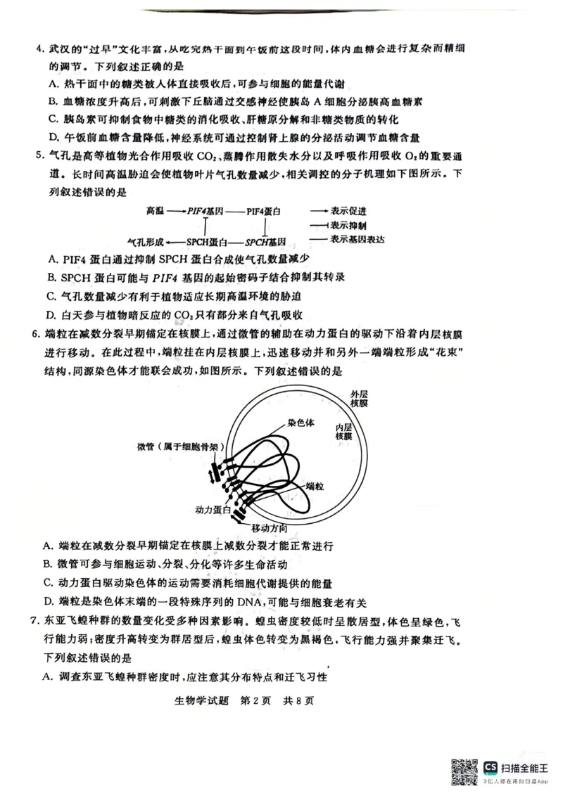 《生物-2026届高三T8联考（八省联考）_2026年高三《月考+期中考+阶段性检测真题合集》全国各省全科无水印_八省联考2026届高三第一次八省联考（T8联考）》第2页预览