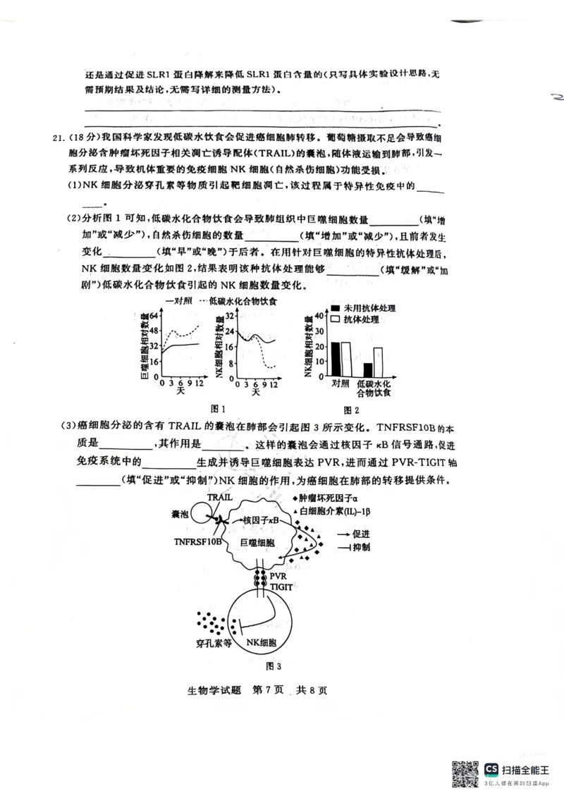 《生物-2026届高三T8联考（八省联考）_2026年高三《月考+期中考+阶段性检测真题合集》全国各省全科无水印_八省联考2026届高三第一次八省联考（T8联考）》第7页预览