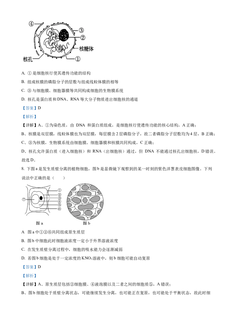 《湖南省长沙市麓山共同体学校2025-2026学年高一上学期12月学情检测生物试卷Word版含解析_2026年高一《月考+期中考+阶段性检测真题合集》全国各省全科无水印》第5页预览