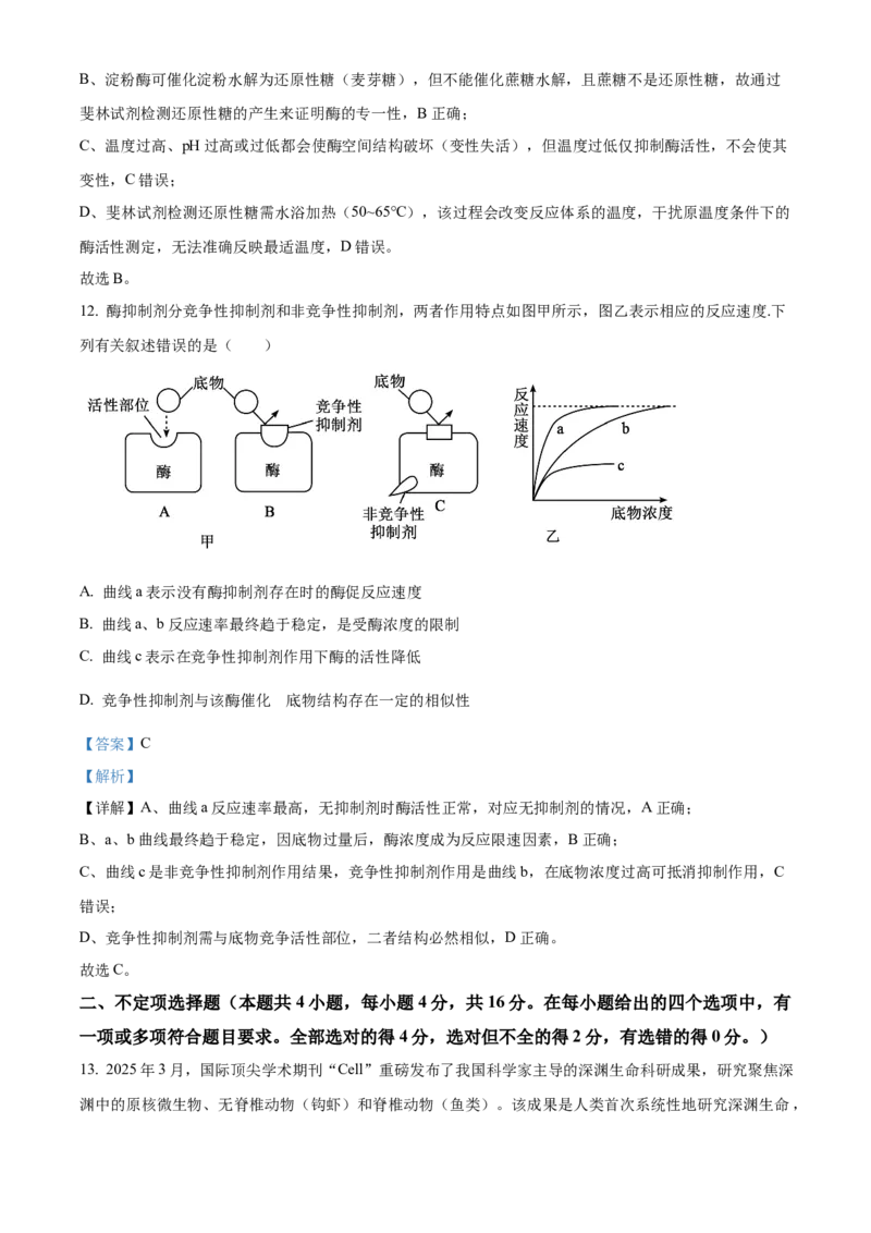 《湖南省长沙市麓山共同体学校2025-2026学年高一上学期12月学情检测生物试卷Word版含解析_2026年高一《月考+期中考+阶段性检测真题合集》全国各省全科无水印》第8页预览