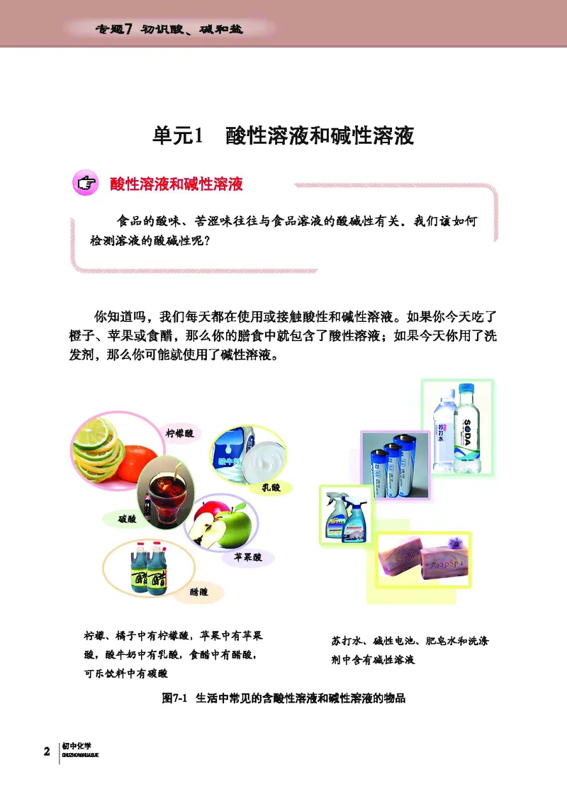 《化学教材（九年级下册）_初中化学_科普版》第8页预览