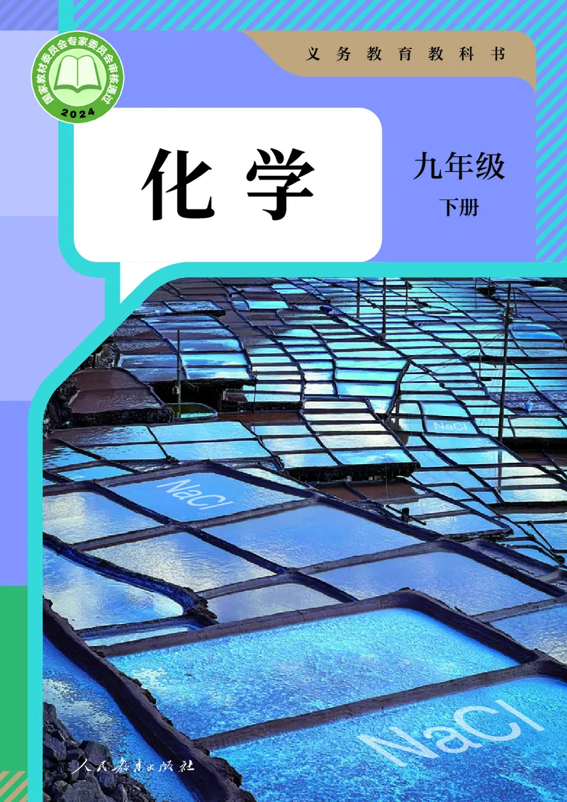 《化学九下人教版（2025春）_初中化学_人教版_初中化学9年级下册》第1页预览