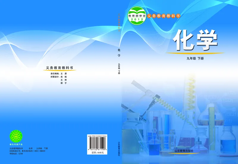 《（六三）化学九年级下册_初中化学_鲁教版_鲁教版六三制》第1页预览