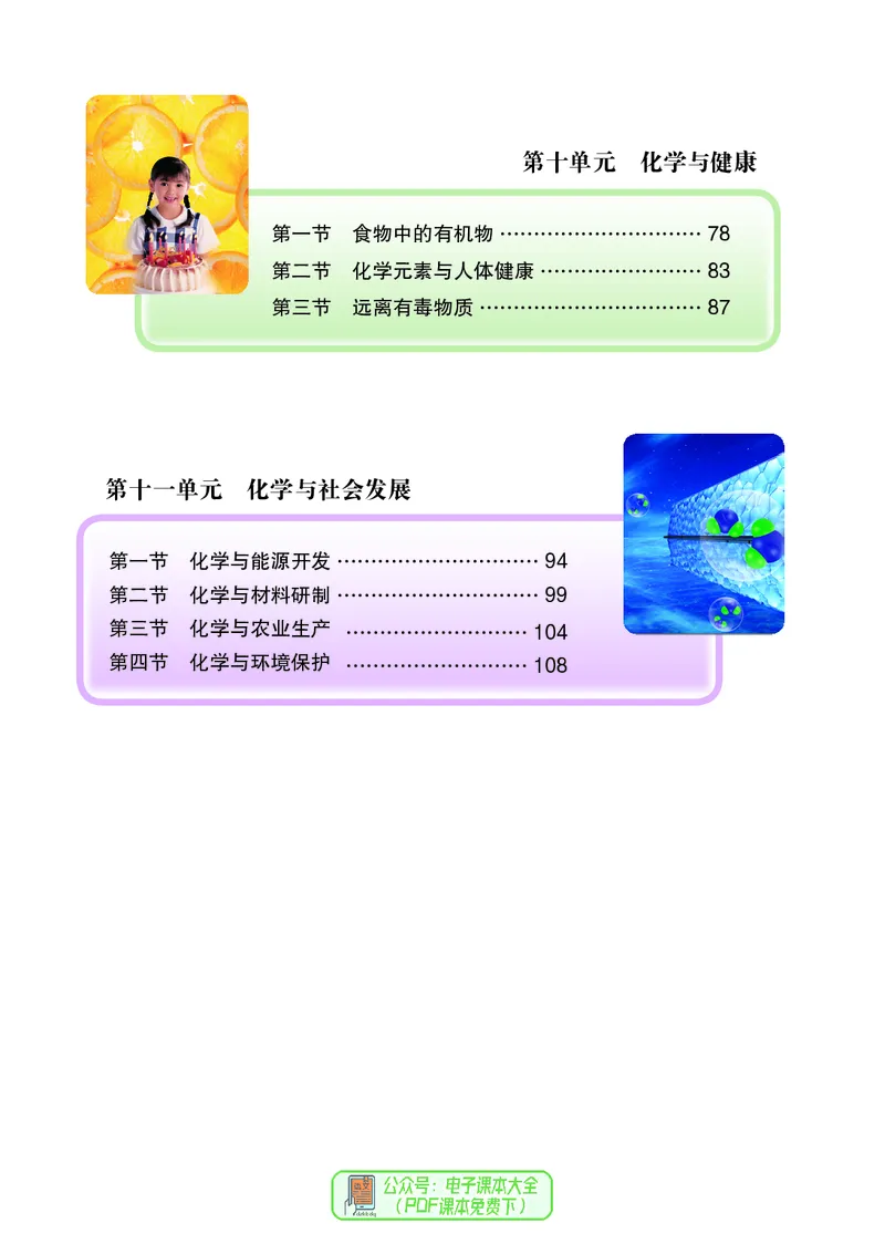 《（六三）化学九年级下册_初中化学_鲁教版_鲁教版六三制》第5页预览