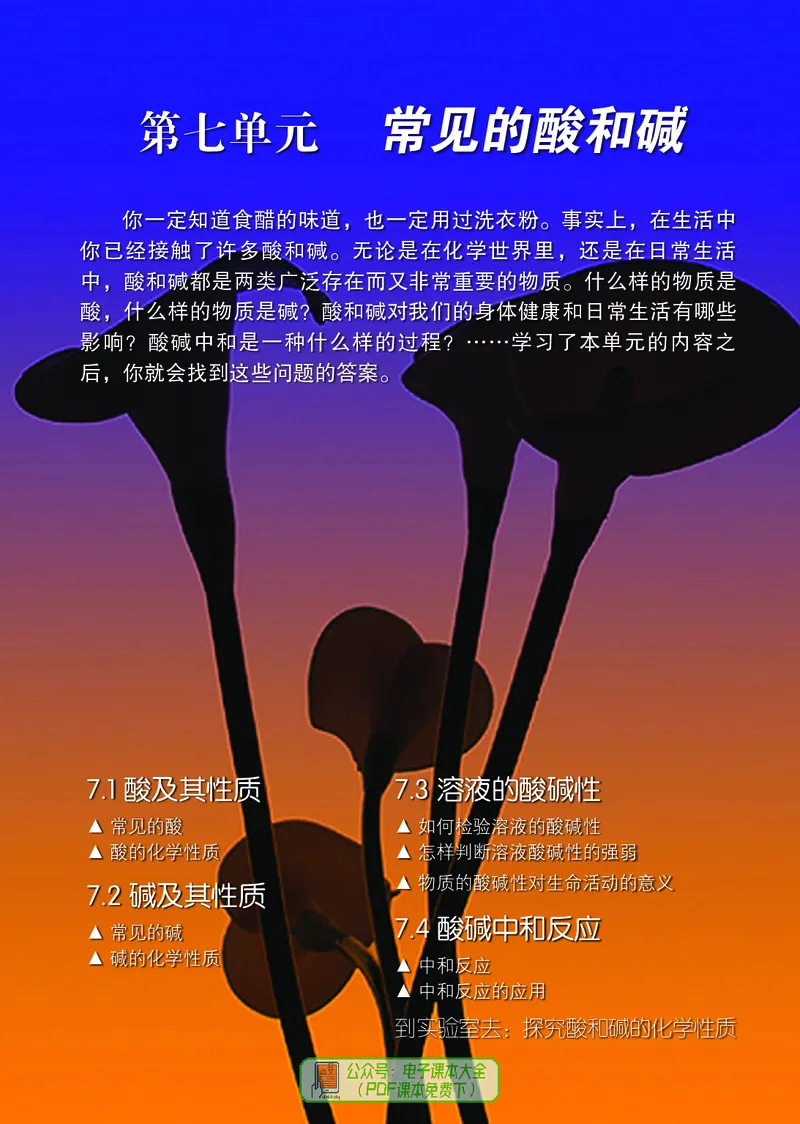 《（六三）化学九年级下册_初中化学_鲁教版_鲁教版六三制》第6页预览