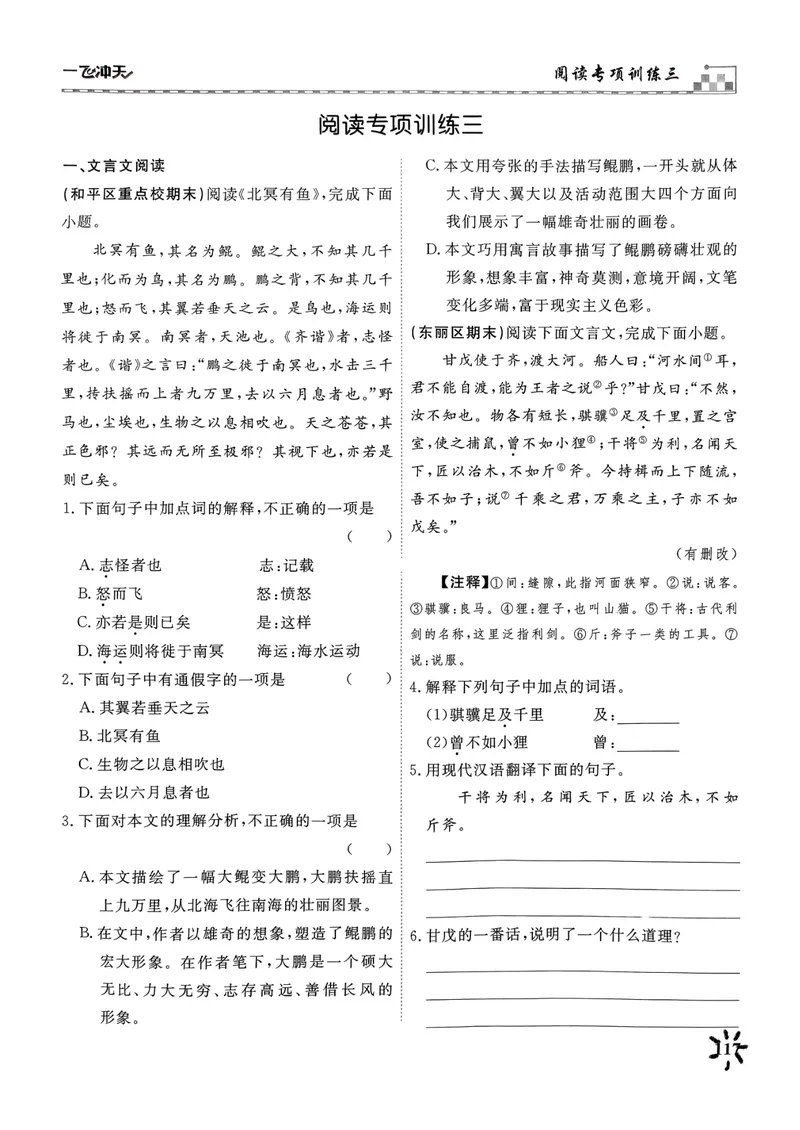 《一飞冲天课时作业八下语文阅读专项训练_初中全科目同步习题+精品试卷（7-9年级）_25秋初中语文《同步习题+精品试卷》_初中语文试卷7-9年级下册(1)_《一飞冲天课时作业》25春》第9页预览