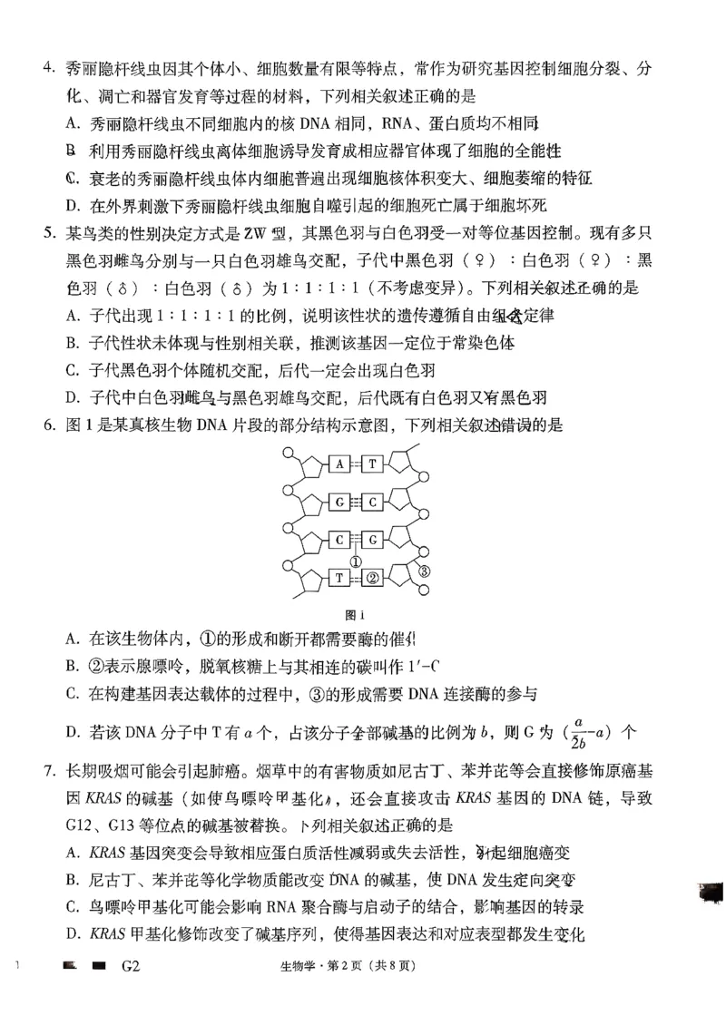 《生物-贵州省六校联盟2026届高三上学期高考实用性联考卷二_2026年高三《月考+期中考+阶段性检测真题合集》全国各省全科无水印_贵州省六校联盟2026届高三上学期高考实用性联考卷二》第2页预览
