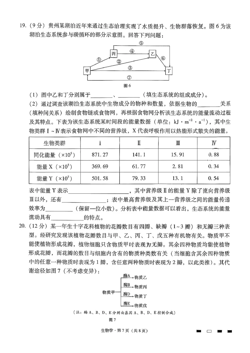 《生物-贵州省六校联盟2026届高三上学期高考实用性联考卷二_2026年高三《月考+期中考+阶段性检测真题合集》全国各省全科无水印_贵州省六校联盟2026届高三上学期高考实用性联考卷二》第7页预览