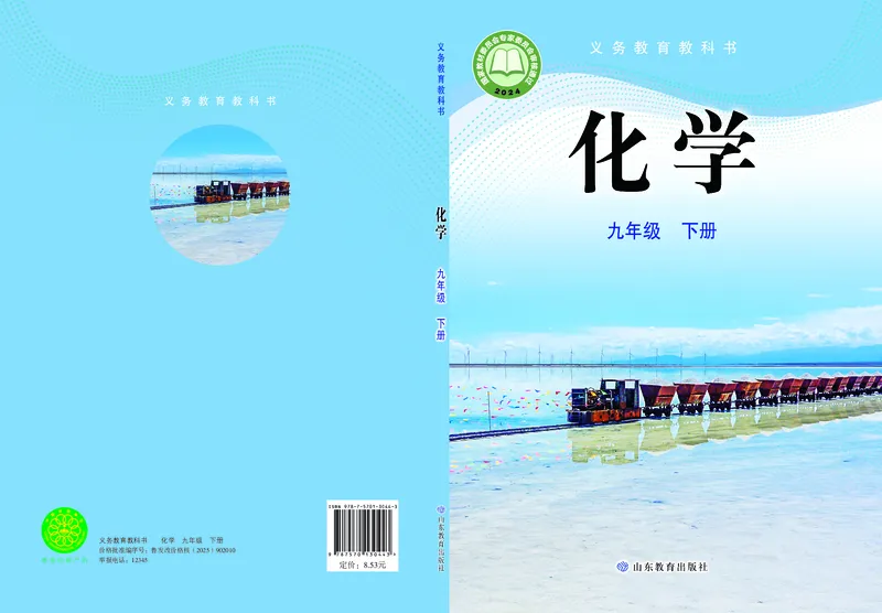 《化学九下鲁教版（2025春）_初中化学_鲁教版_鲁教版六三制》第1页预览