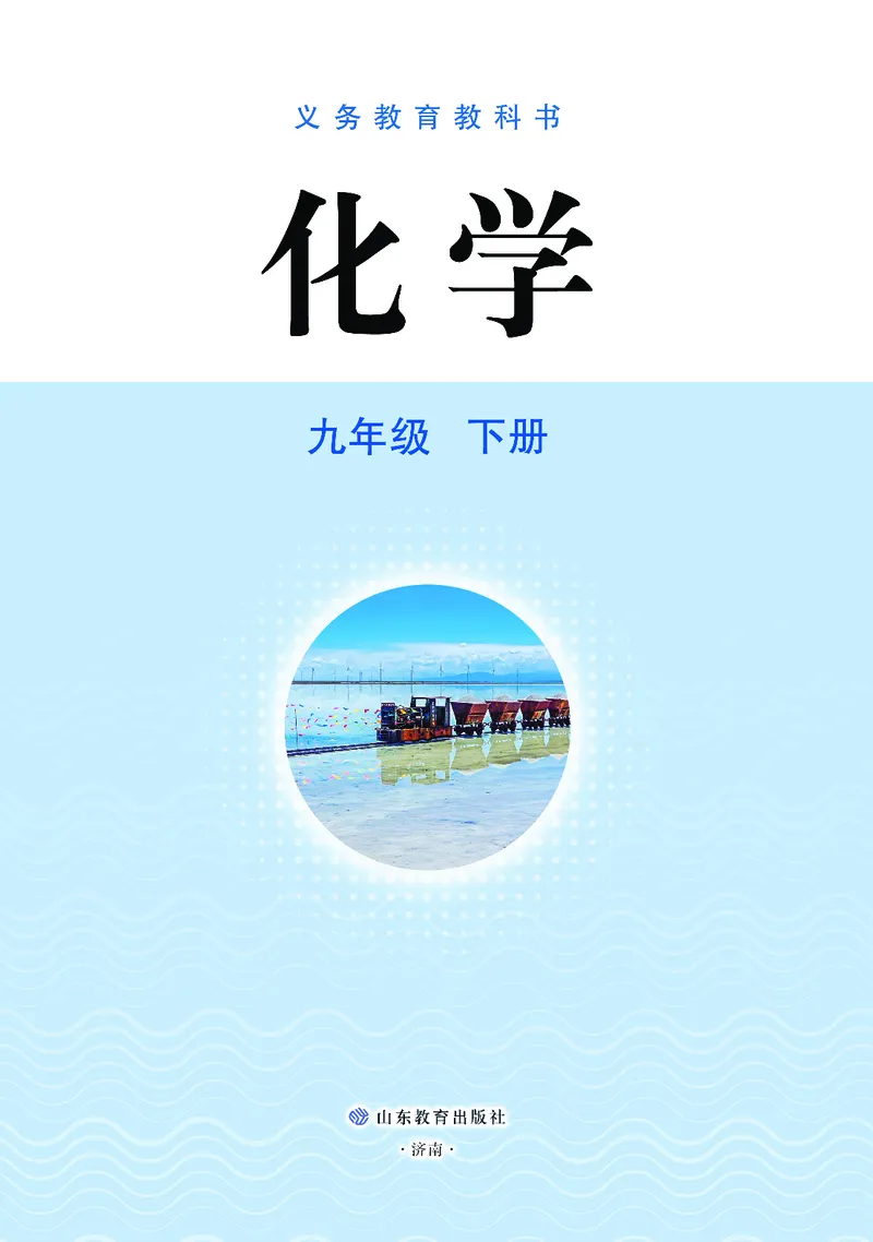 《化学九下鲁教版（2025春）_初中化学_鲁教版_鲁教版六三制》第2页预览