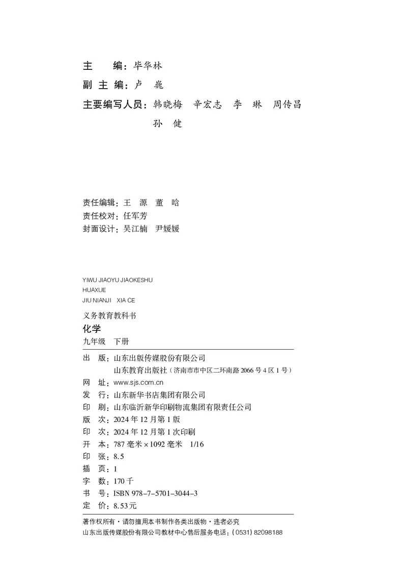 《化学九下鲁教版（2025春）_初中化学_鲁教版_鲁教版六三制》第3页预览
